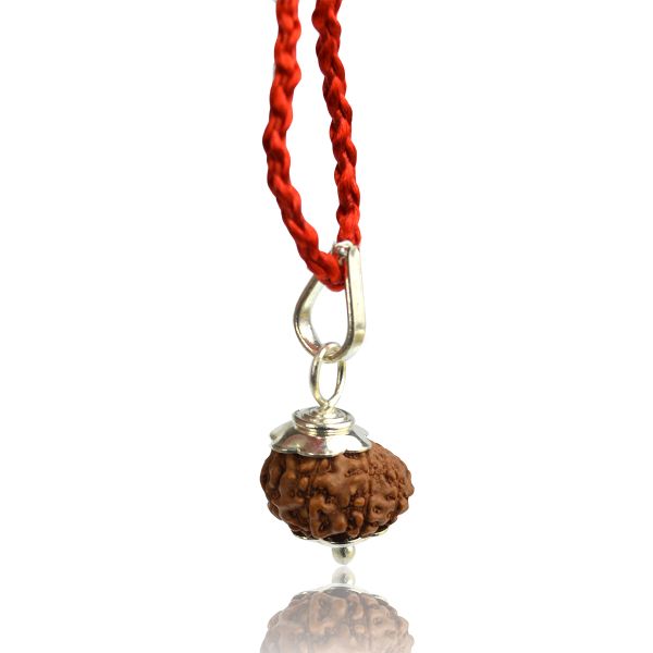 Certified Eleven 11 Mukhi Rudraksha Pendant for Courage, Confidence, Intuition & Spiritual Strength