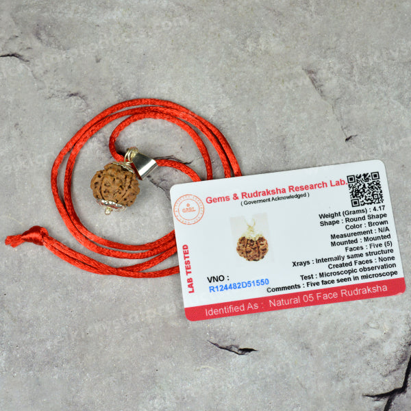 Certified Five 5 Mukhi Rudraksha Pendant for Peace, Focus & Spiritual Growth