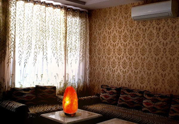 Natural Shape Himalayan Pink Salt Lamp