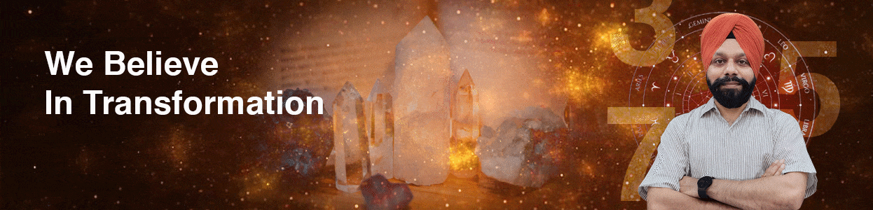 Training & Consultancy