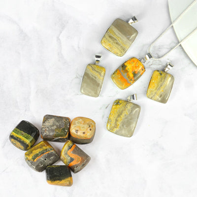 Bumblebee Jasper