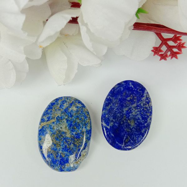 Natural Worry Palm Stone Oval Shape Cabochons Pack of 2 pc