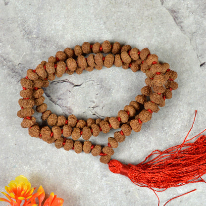 Certified Ten 10 Mukhi Rudraksha Mala 108 Beads Original