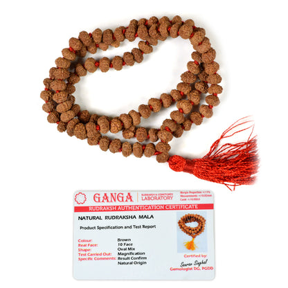 Certified Ten 10 Mukhi Rudraksha Mala 108 Beads Original