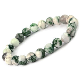 Tree Agate Crystal Bracelet | Natural Healing Gemstone Bracelet for Growth & Abundance