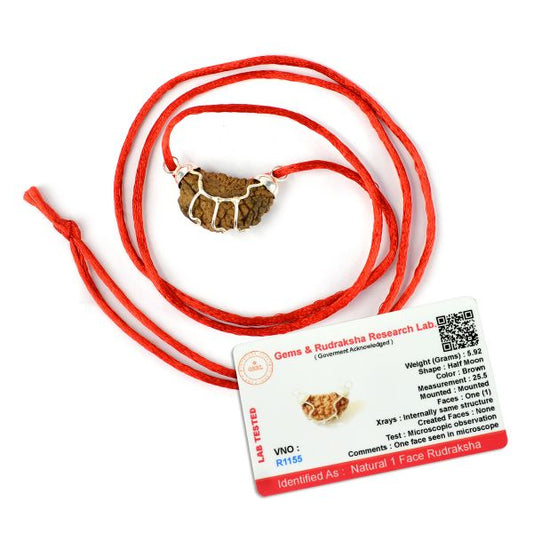 Lab Certified One 1 Mukhi Rudraksha Pendant