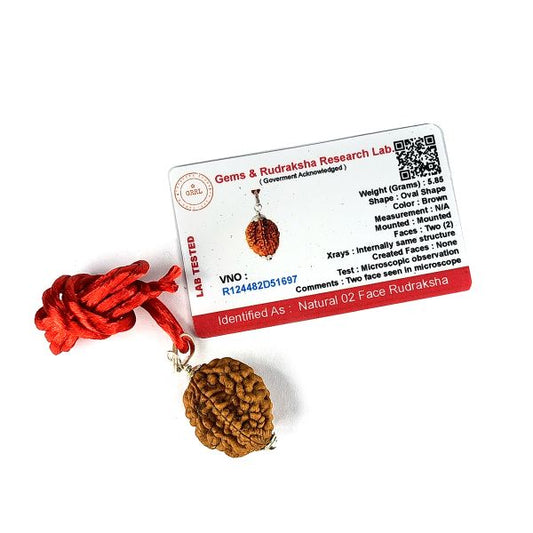 Lab Certified Two 2 Mukhi Rudraksha Pendant