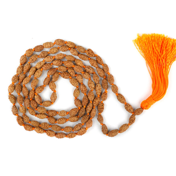 Certified Two 2 Mukhi Rudraksha Mala 108 Beads Original