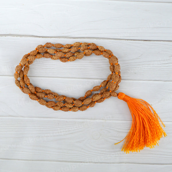 Certified Two 2 Mukhi Rudraksha Mala 108 Beads Original