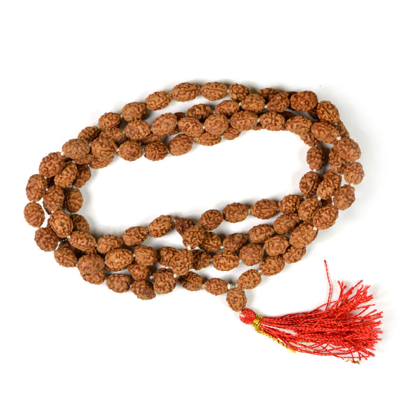 Certified Three 3 Mukhi Rudraksha Mala 108 Beads Original