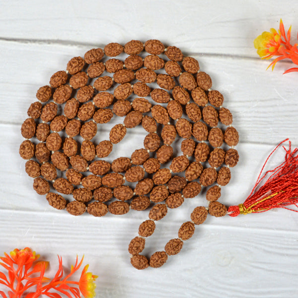 Certified Three 3 Mukhi Rudraksha Mala 108 Beads Original