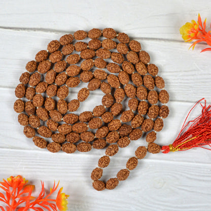 Certified Three 3 Mukhi Rudraksha Mala 108 Beads Original