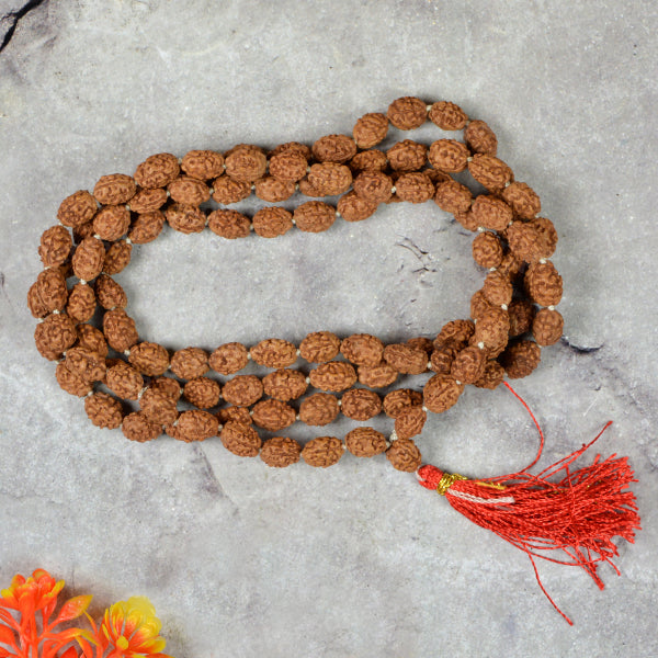 Certified Three 3 Mukhi Rudraksha Mala 108 Beads Original
