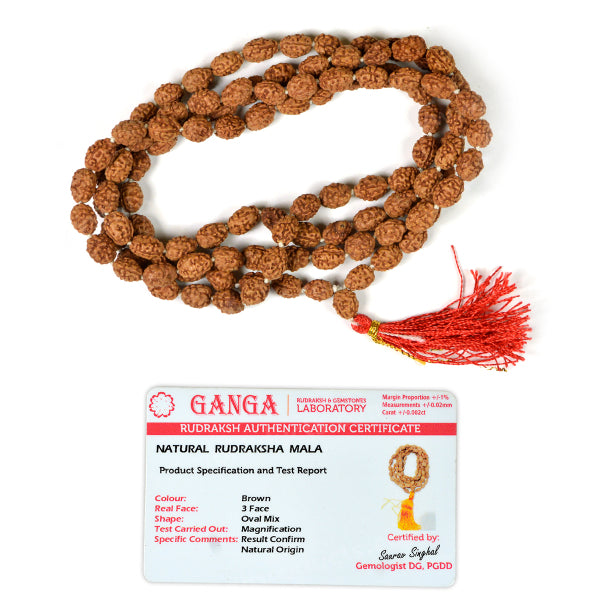 Certified Three 3 Mukhi Rudraksha Mala 108 Beads Original