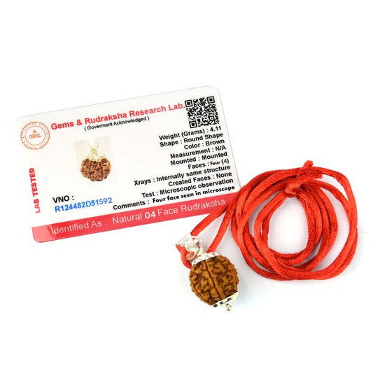 Lab Certified Four 4 Mukhi Rudraksha Pendant