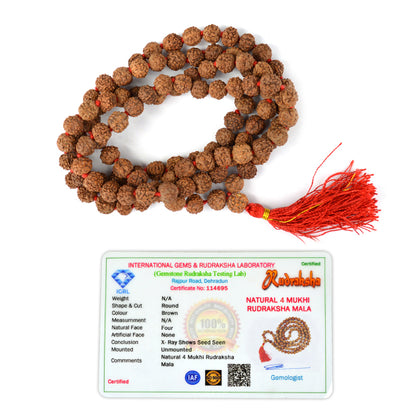 Certified Four 4 Mukhi Rudraksha Mala 108 Beads Original