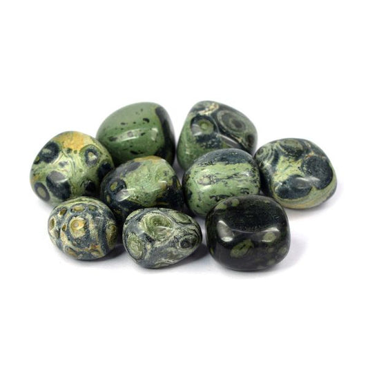 Kambaba Jasper Tumble Stone