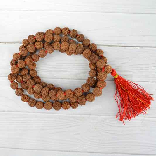Certified Six 6 Mukhi Rudraksha Mala 108 Beads Original