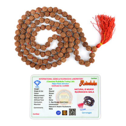 Certified Six 6 Mukhi Rudraksha Mala 108 Beads Original