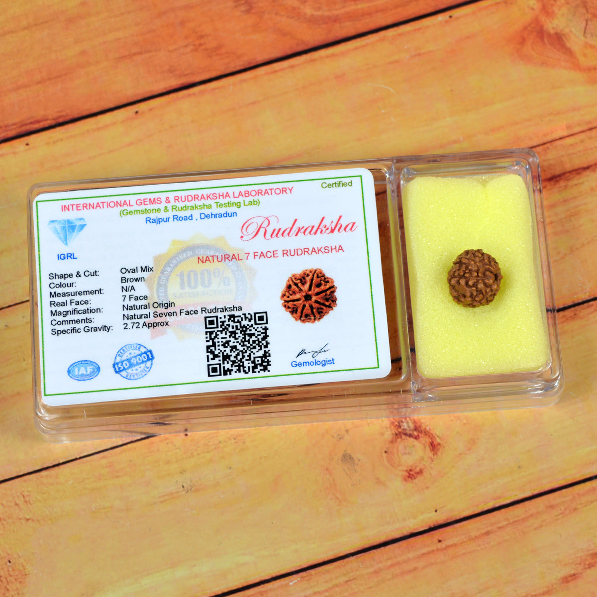 Certificate Seven 7 Mukhi Faced Original Rudraksha Bead