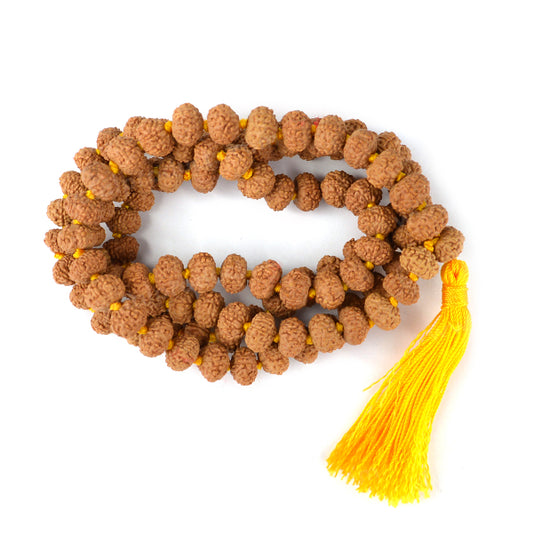 Certified Seven 7 Mukhi Rudraksha Mala 108 Beads Original