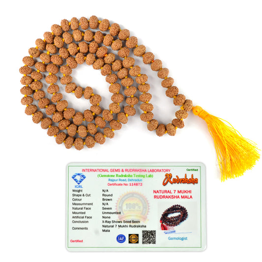 Certified Seven 7 Mukhi Rudraksha Mala 108 Beads Original