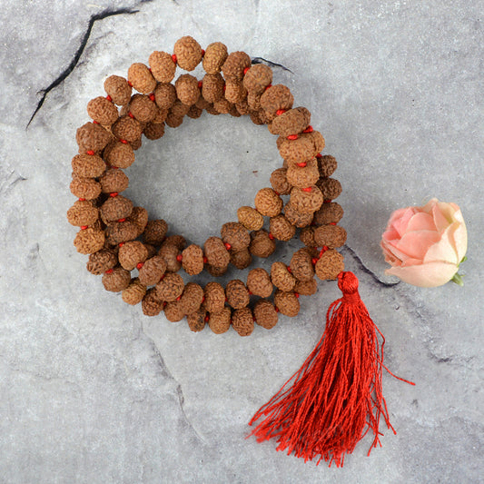 Certified Eight 8 Mukhi Rudraksha Mala 108 Beads Original