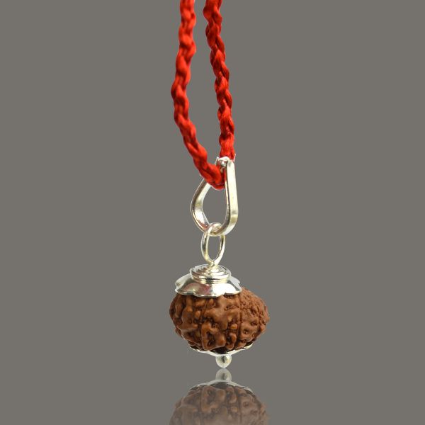 Lab Certified Nine 9 Mukhi Rudraksha Pendant
