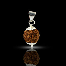 Certified 2 Two Mukhi Rudraksha Pendant for Harmony, Relationships, Emotional Balance & Inner Peace