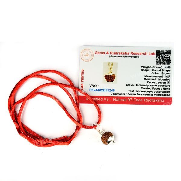 Certified 7 Mukhi Rudraksha Pendant for Prosperity, Abundance, Confidence & Financial Well-Being