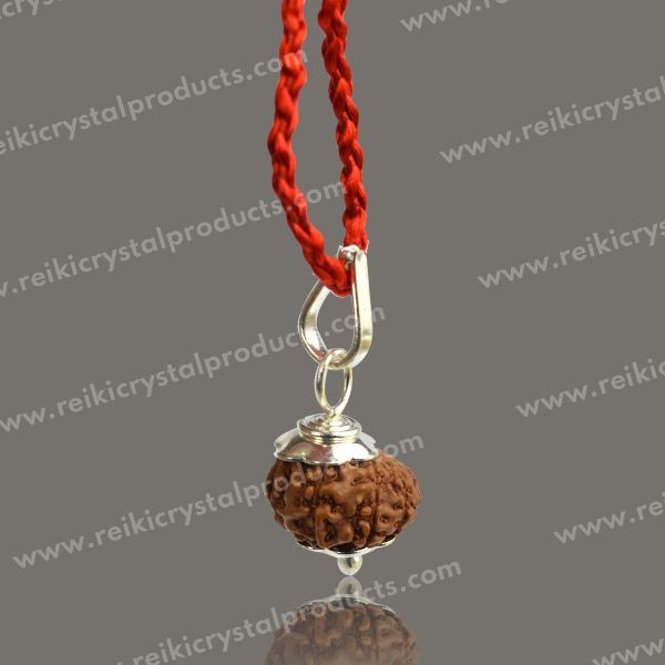 Certified 8 Eight Mukhi Rudraksha Pendant for Success, Wisdom, Focus & Obstacle Removal