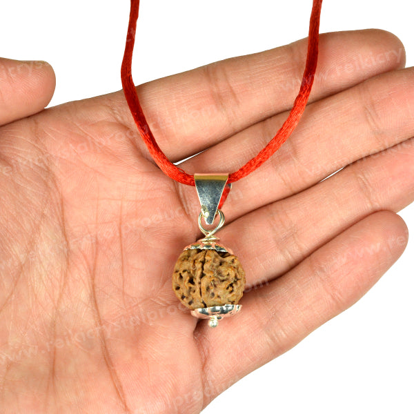 Certified Five 5 Mukhi Rudraksha Pendant for Peace, Meditation, Focus & Spiritual Growth