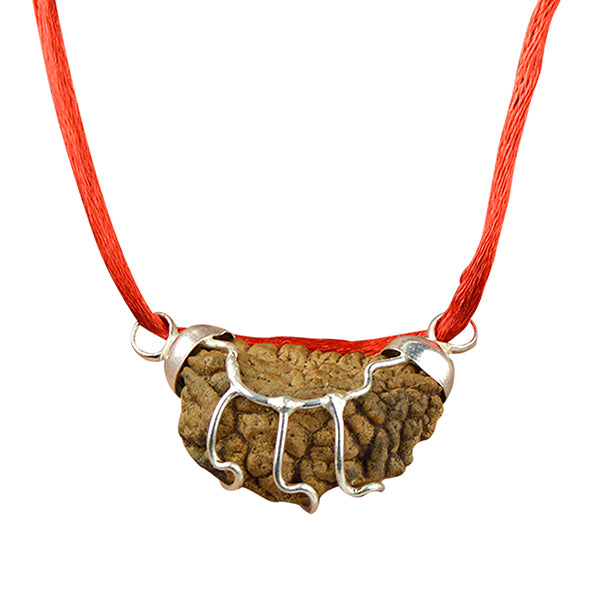 Certified One 1 Mukhi Rudraksha Pendant for Meditation, Spiritual Growth, Focus & Inner Peace