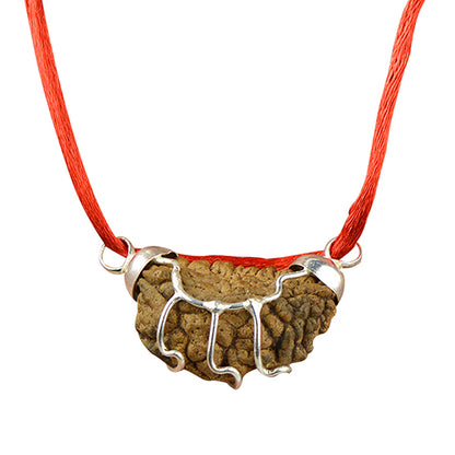 Certified One 1 Mukhi Rudraksha Pendant for Meditation, Spiritual Growth, Focus & Inner Peace