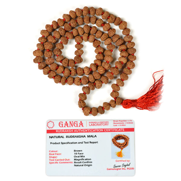 Certified Original 10 Ten Mukhi Rudraksha Mala 108 Beads for Protection, Stability, Mental Clarity & Spiritual Strength