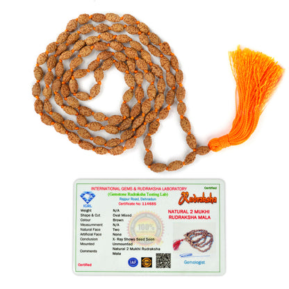 Certified Original 2 Two Mukhi Rudraksha Mala 108 Beads for Harmony, Relationships, Emotional Balance & Inner Peace