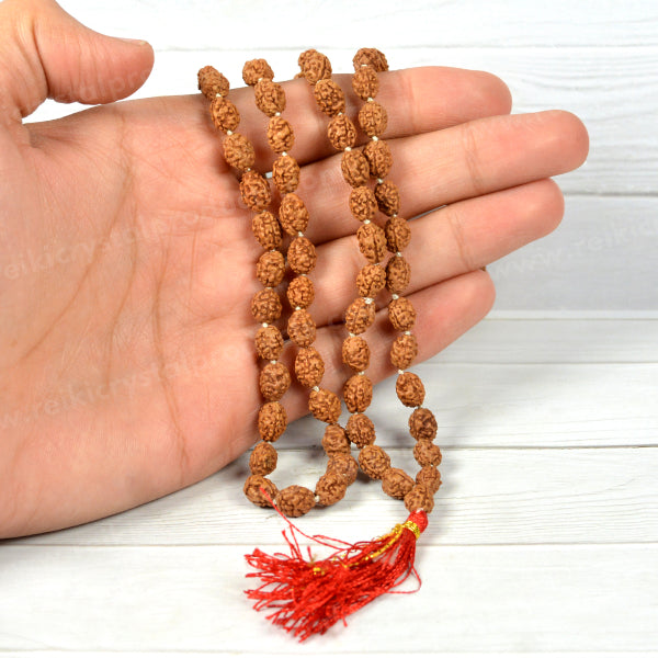 Certified Original 3 Three Mukhi Rudraksha Mala 108 Beads for Confidence, Courage, Transformation & Inner Strength