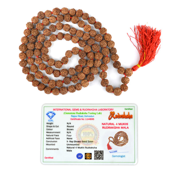 Certified Original 4 Four Mukhi Rudraksha Mala 108 Beads for Knowledge, Wisdom, Creativity & Communication