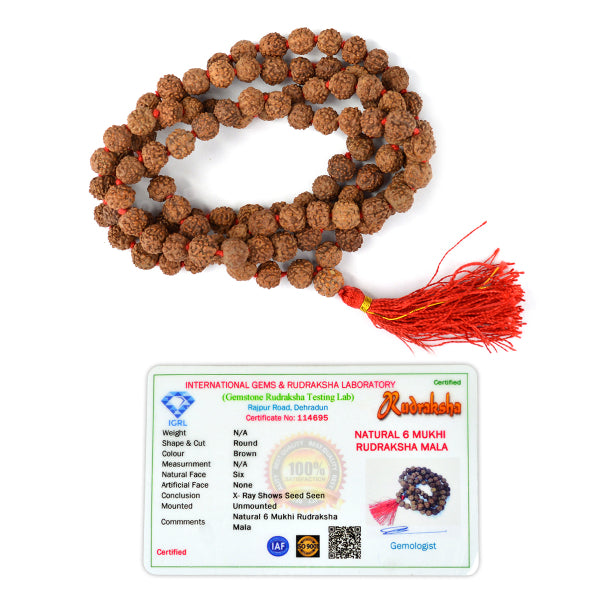 Certified Original 6 Mukhi Rudraksha Mala 108 Beads for Focus, Discipline, Confidence & Willpower