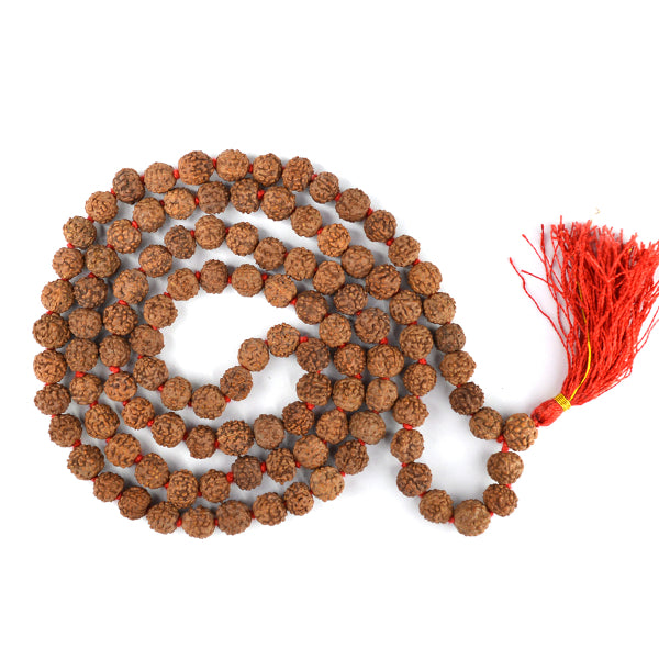 Certified Original 6 Six Mukhi Rudraksha Mala 108 Beads for Focus, Discipline, Confidence & Willpower
