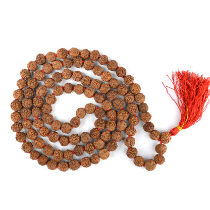 Certified Original 6 Six Mukhi Rudraksha Mala 108 Beads for Focus, Discipline, Confidence & Willpower