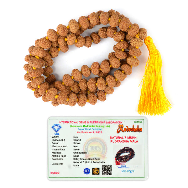 Certified Original 7 Mukhi Rudraksha Mala 108 Beads for Prosperity, Abundance, Stability & Financial Well-Being