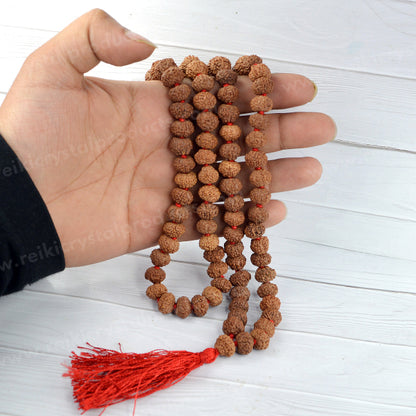 Certified Original 8 Eight Mukhi Rudraksha Mala 108 Beads for Success, Wisdom, Focus & Obstacle Removal