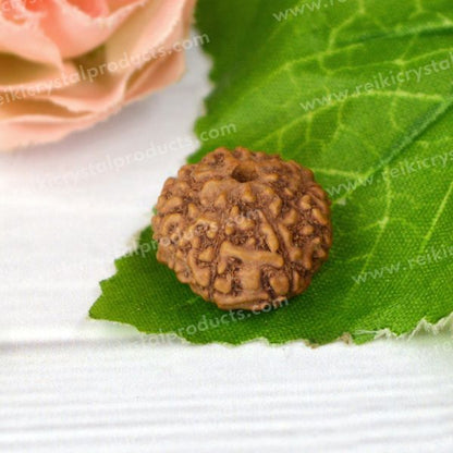 Certified Original 9 Nine Mukhi Faced Rudraksha Bead for Courage, Strength, Confidence & Fearlessness
