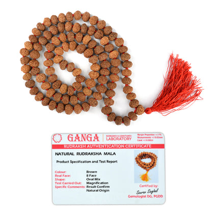 Certified Original Eight 8 Mukhi Rudraksha Mala 108 Beads for Success, Wisdom, Focus & Obstacle Removal