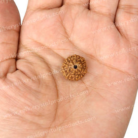 Certified Original Nine 9 Mukhi Faced Rudraksha Bead for Courage, Strength, Confidence & Fearlessness