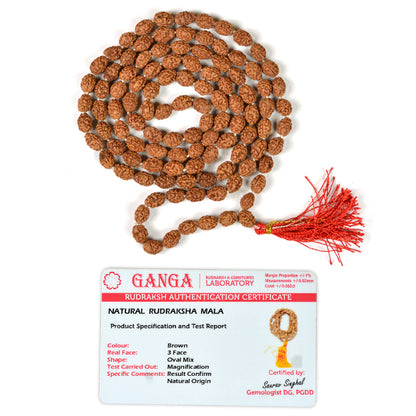 Certified Original Three 3 Mukhi Rudraksha Mala 108 Beads for Confidence, Courage, Transformation & Inner Strength