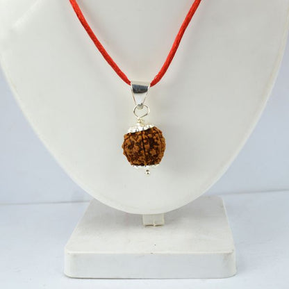 Certified Two 2 Mukhi Rudraksha Pendant for Harmony, Relationships, Emotional Balance & Inner Peace