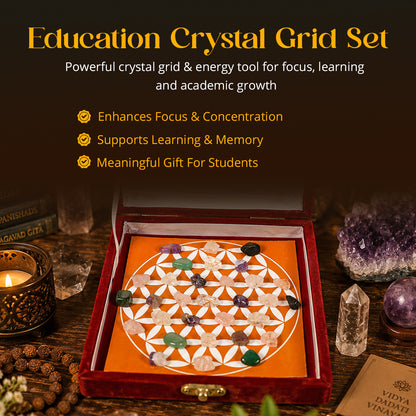 Education Crystal Tumbles Grid Box – Study Focus & Memory Support Crystal Set with Quartz Pyramid | Reiki Charged Learning Crystal Kit
