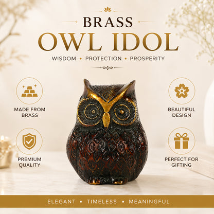 Brass Owl Statue for Vastu Remedy | 600 Gram Solid Brass Owl Idol for Wisdom, Protection & Positive Energy | Decorative Brass Owl Figurine for Home, Office & Study Table